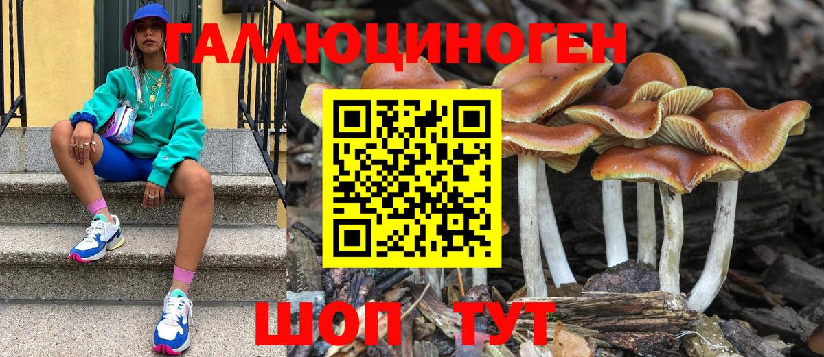 Галлюциногенные грибы Psilocybine cubensis  Вход с VPN  Псилоцибиновые грибы Psilocybine cubensis  Москва 